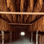 TITULO: Primera web de desarrollo a la medida y UI/UX 